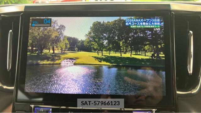 Toyota ALPHARD 2019-02 8877134-4