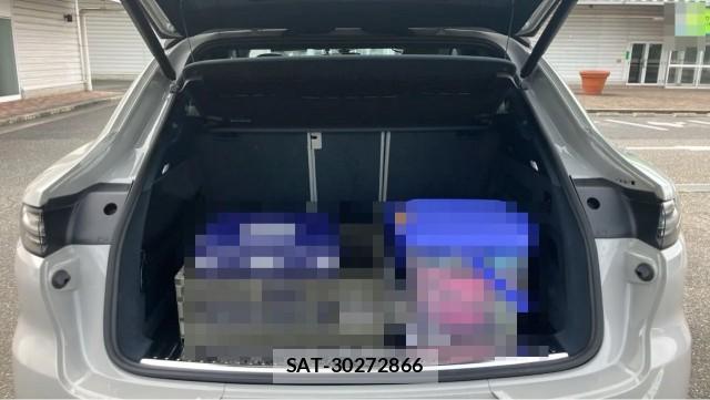 Porsche CAYENNE 2020-06 8877142-17