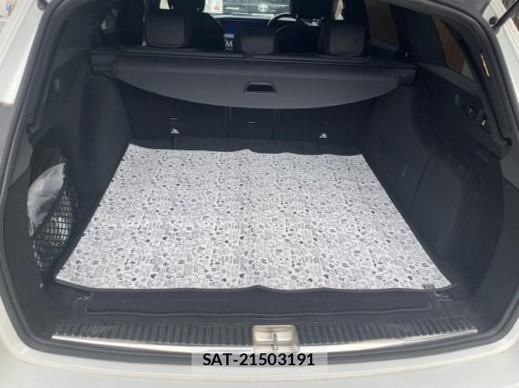 Mercedes Benz E-CLASS 2017-02 8877186-17