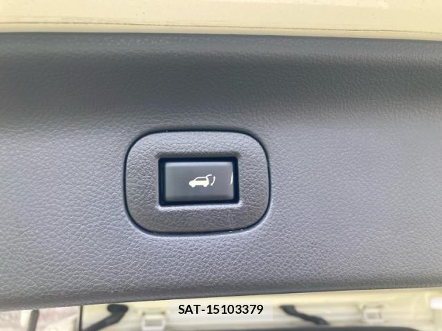 Nissan ELGRAND 2011-06 8877533-16