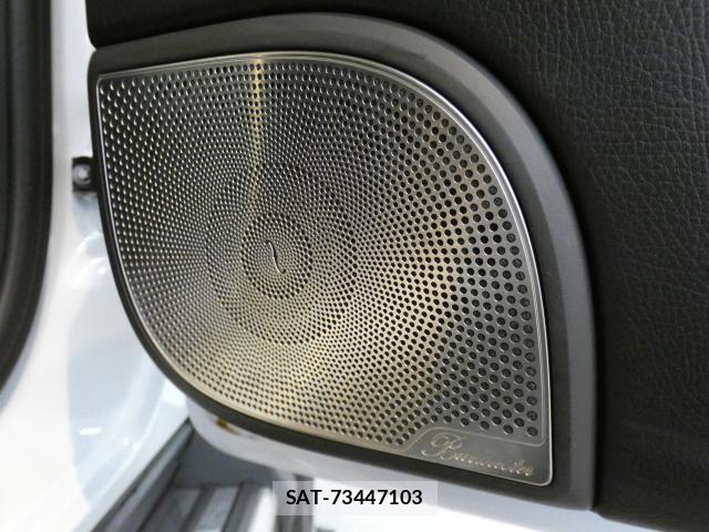 Mercedes Benz G-CLASS 2022-05 8876563-16