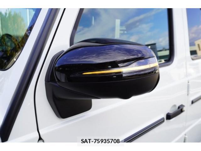 Mercedes Benz G-CLASS 2021-01 8877007-12