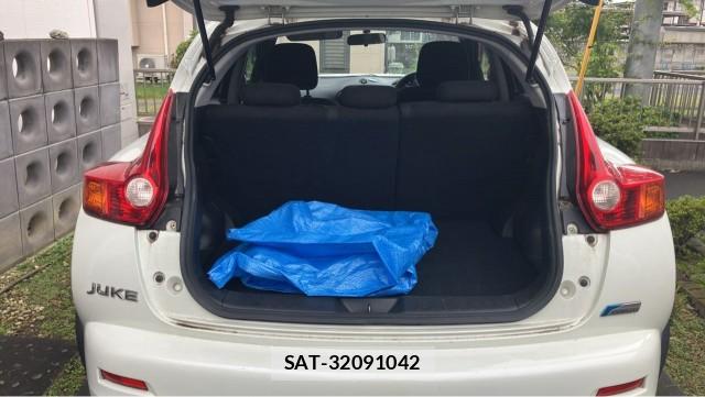 Nissan JUKE 2010-07 8877185-17