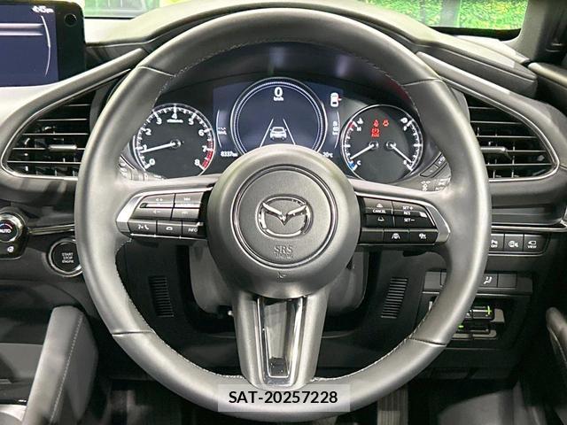 Mazda MAZDA3 2024-03 8876664-10