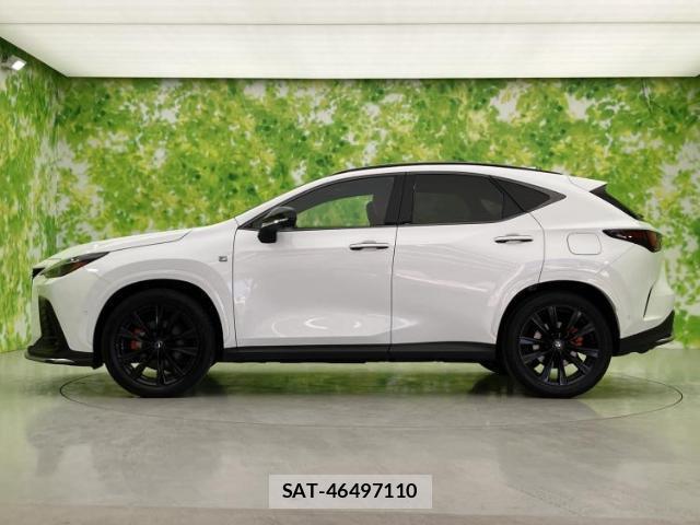 Lexus NX 2023-06 8876703-1