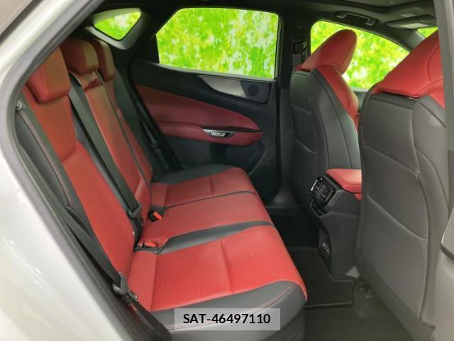 Lexus NX 2023-06 8876703-4