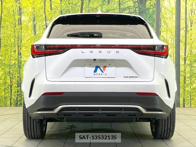 Lexus NX 2023-12 8876785-13