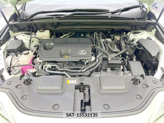 Lexus NX 2023-12 8876785-16
