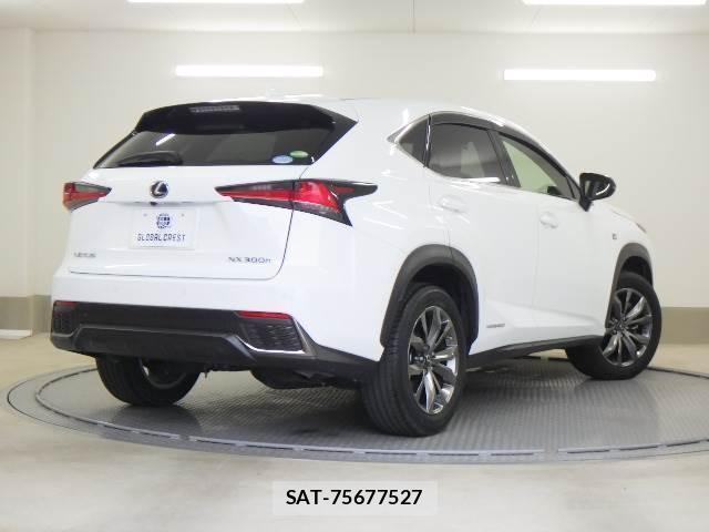Lexus NX 2017-10 8877075-1