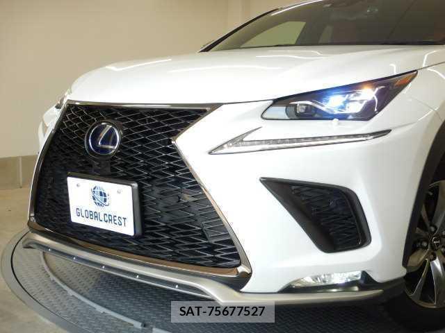 Lexus NX 2017-10 8877075-13