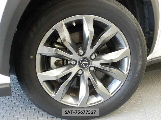 Lexus NX 2017-10 8877075-14