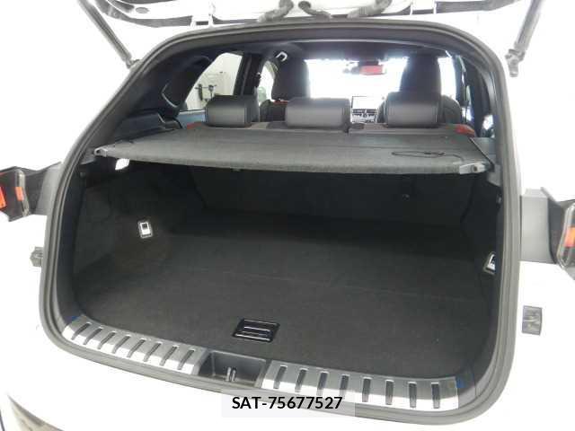 Lexus NX 2017-10 8877075-18