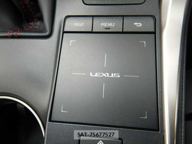 Lexus NX 2017-10 8877075-7