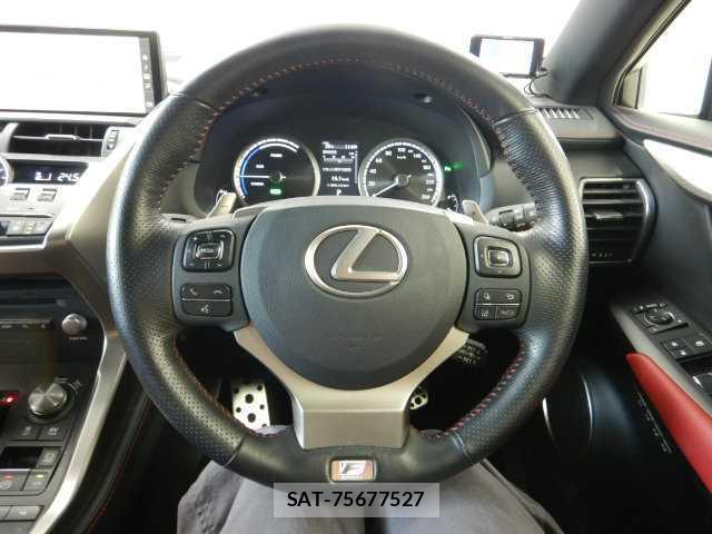 Lexus NX 2017-10 8877075-9