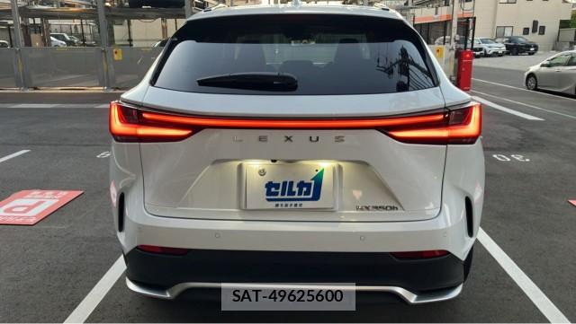 Lexus NX 2025-08 8877189-1