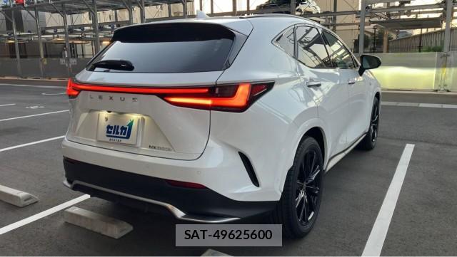 Lexus NX 2025-08 8877189-12