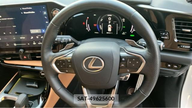 Lexus NX 2025-08 8877189-16