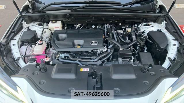 Lexus NX 2025-08 8877189-7