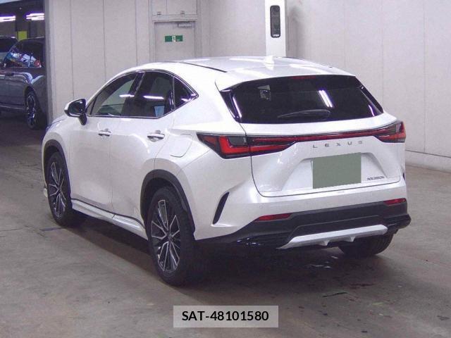 Lexus NX 2023-02 8877351-1
