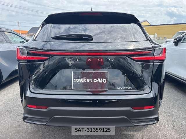 Lexus NX 2025-05 8877967-7