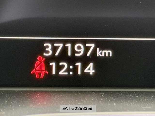 Audi A4 2022-11 7720907-19