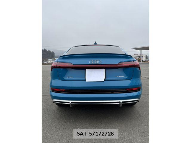 Audi E-TRON 2020-12 6495010-5