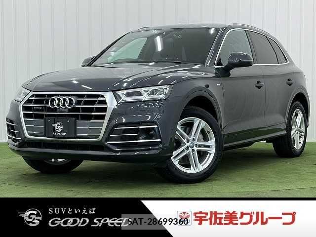 Audi Q5 2019-03 8244654-0