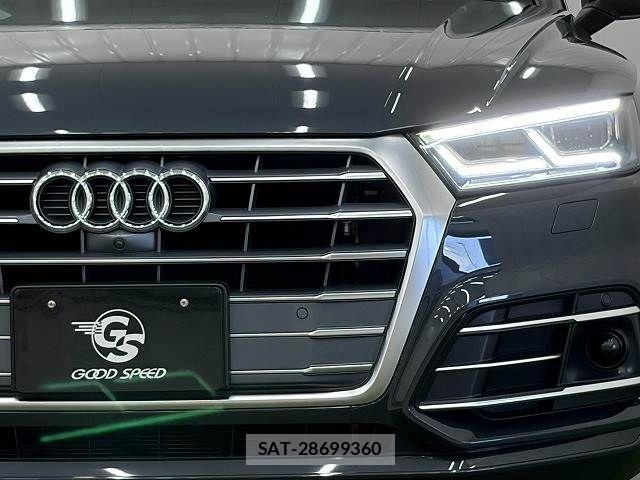 Audi Q5 2019-03 8244654-17