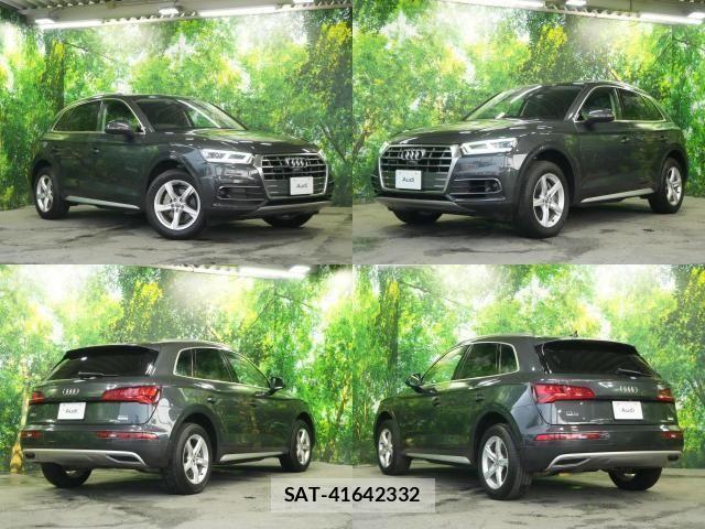 Audi Q5 2019-05 8313165-1