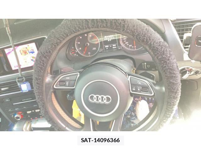 Audi Q5 2015-05 8625873-7