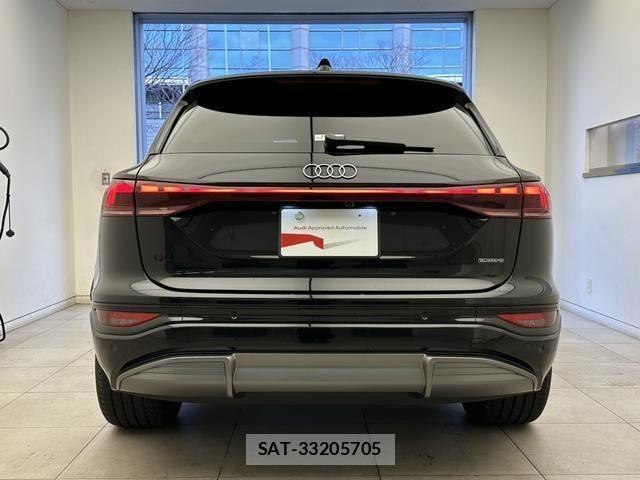 Audi E-TRON 2025-04 4638094-15
