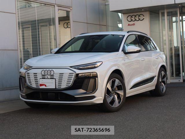 Audi E-TRON 2025-06 6902327-0