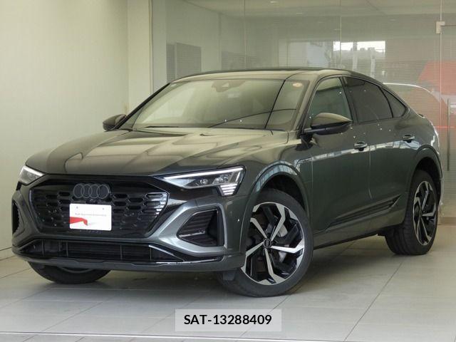 Audi E-TRON 2024-09 2006436-0