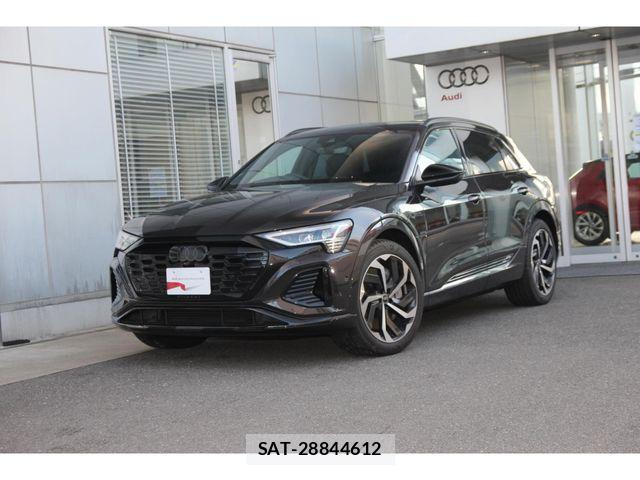 Audi E-TRON 2025-01 6902322-0