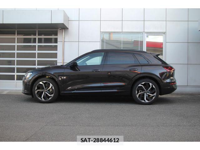 Audi E-TRON 2025-01 6902322-2