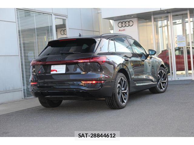 Audi E-TRON 2025-01 6902322-3