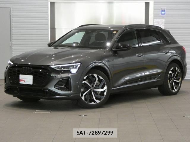 Audi E-TRON 2025-03 7325777-0