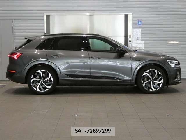 Audi E-TRON 2025-03 7325777-11