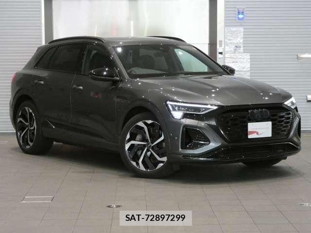 Audi E-TRON 2025-03 7325777-12
