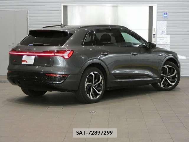 Audi E-TRON 2025-03 7325777-1