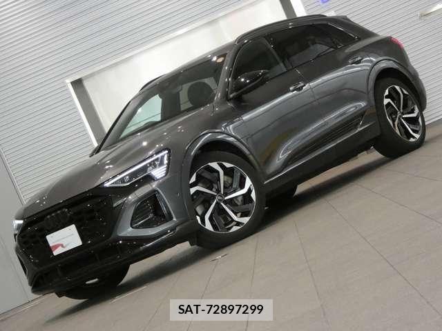 Audi E-TRON 2025-03 7325777-7