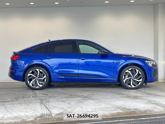 Audi E-TRON 2024-09 7875368-19