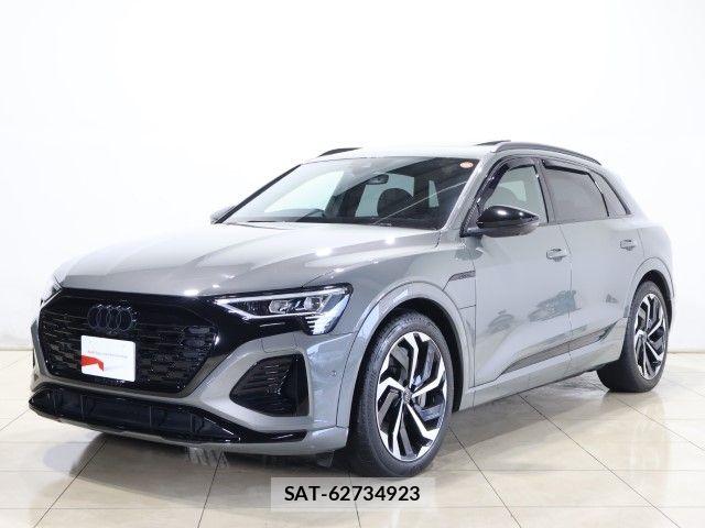 Audi E-TRON 2024-09 8034479-0