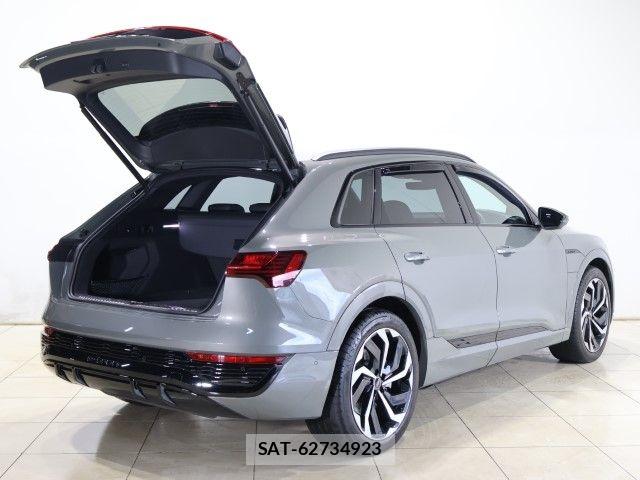 Audi E-TRON 2024-09 8034479-9