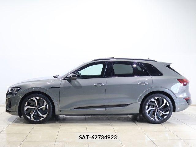Audi E-TRON 2024-09 8034479-10