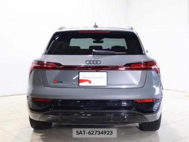 Audi E-TRON 2024-09 8034479-11
