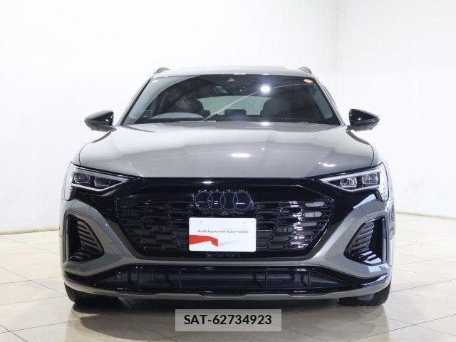 Audi E-TRON 2024-09 8034479-12