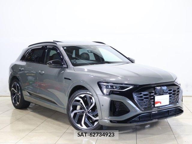Audi E-TRON 2024-09 8034479-13