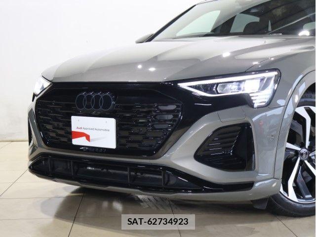 Audi E-TRON 2024-09 8034479-15