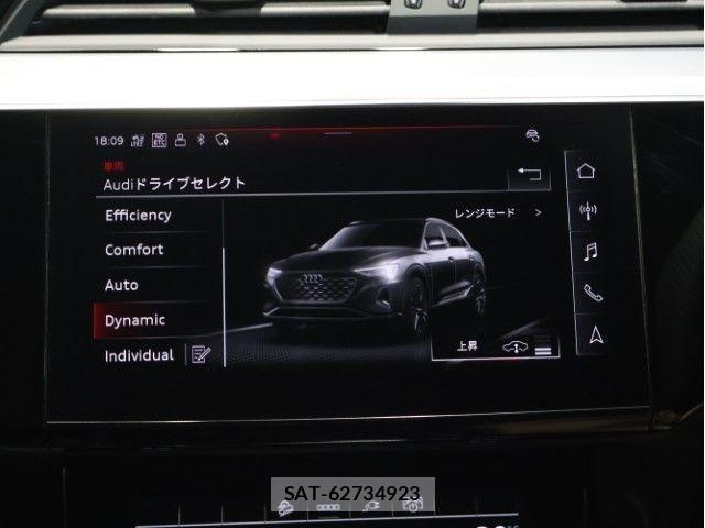 Audi E-TRON 2024-09 8034479-28